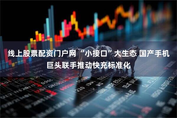 线上股票配资门户网 “小接口”大生态 国产手机巨头联手推动快充标准化