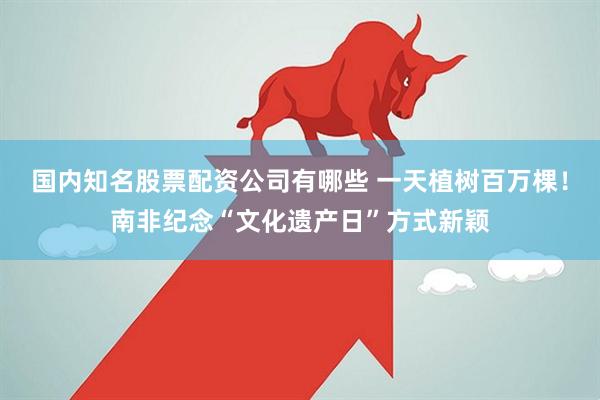 国内知名股票配资公司有哪些 一天植树百万棵！南非纪念“文化遗产日”方式新颖